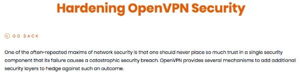 OpenVPN怎么样评测: 安全性。