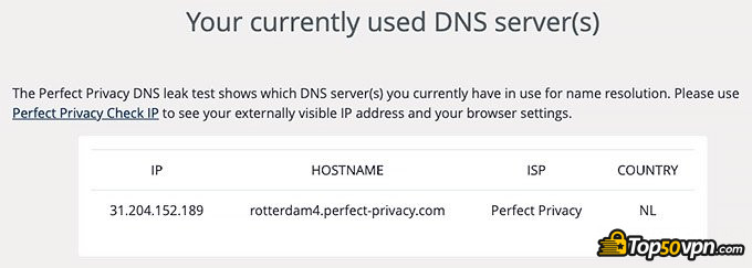 Perfect Privacy VPN 怎么样评测: DNS泄露测试。