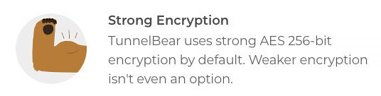 TunnelBear怎么样评测: 数据加密.